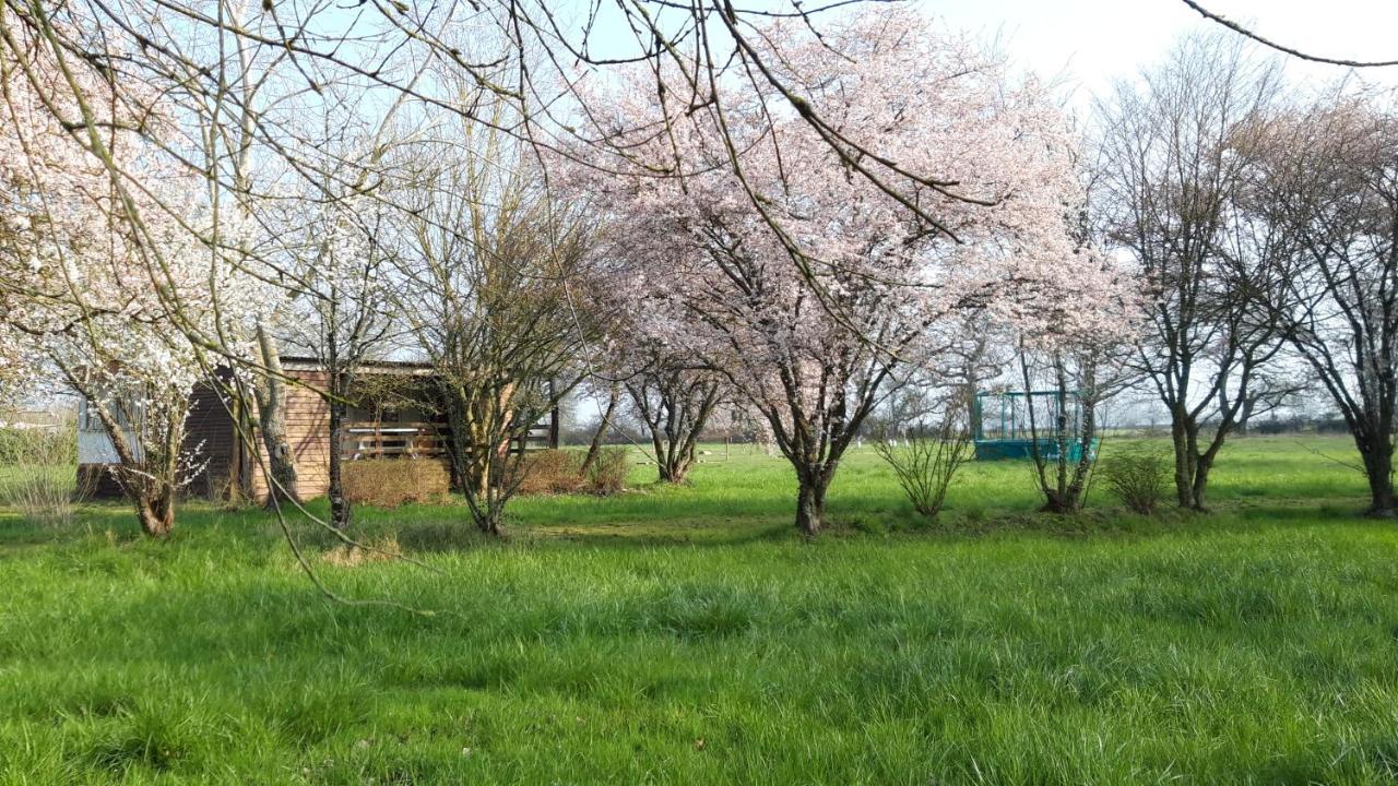 Gourgé Le Domaine De La Barre Saint Michel酒店 外观 照片